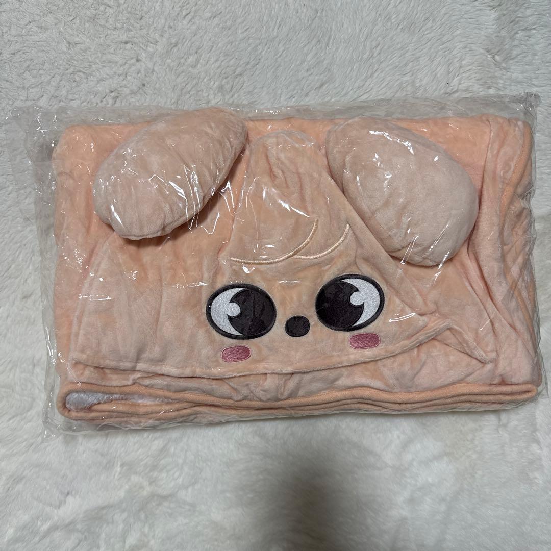 StrayKids スンミン PuppyM 17点 まとめ売り