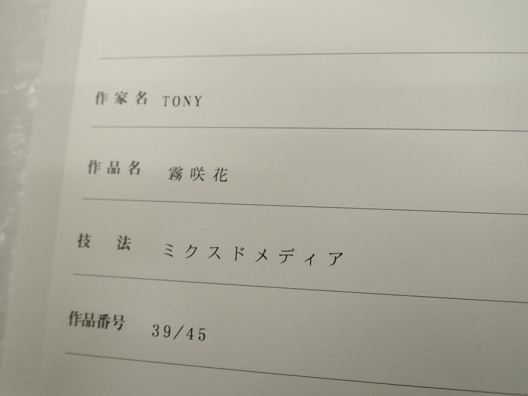 ⑨新品・保証書付 Tony トニー「霧咲花」ミクスドメディア　アールビバン