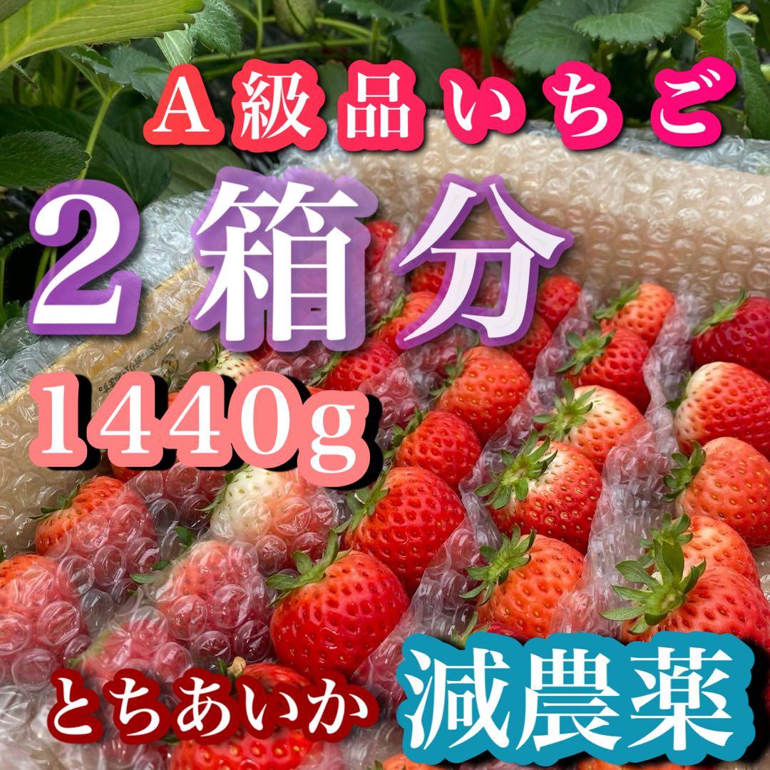 A級品 いちご 栃木 とちあいか 減農薬