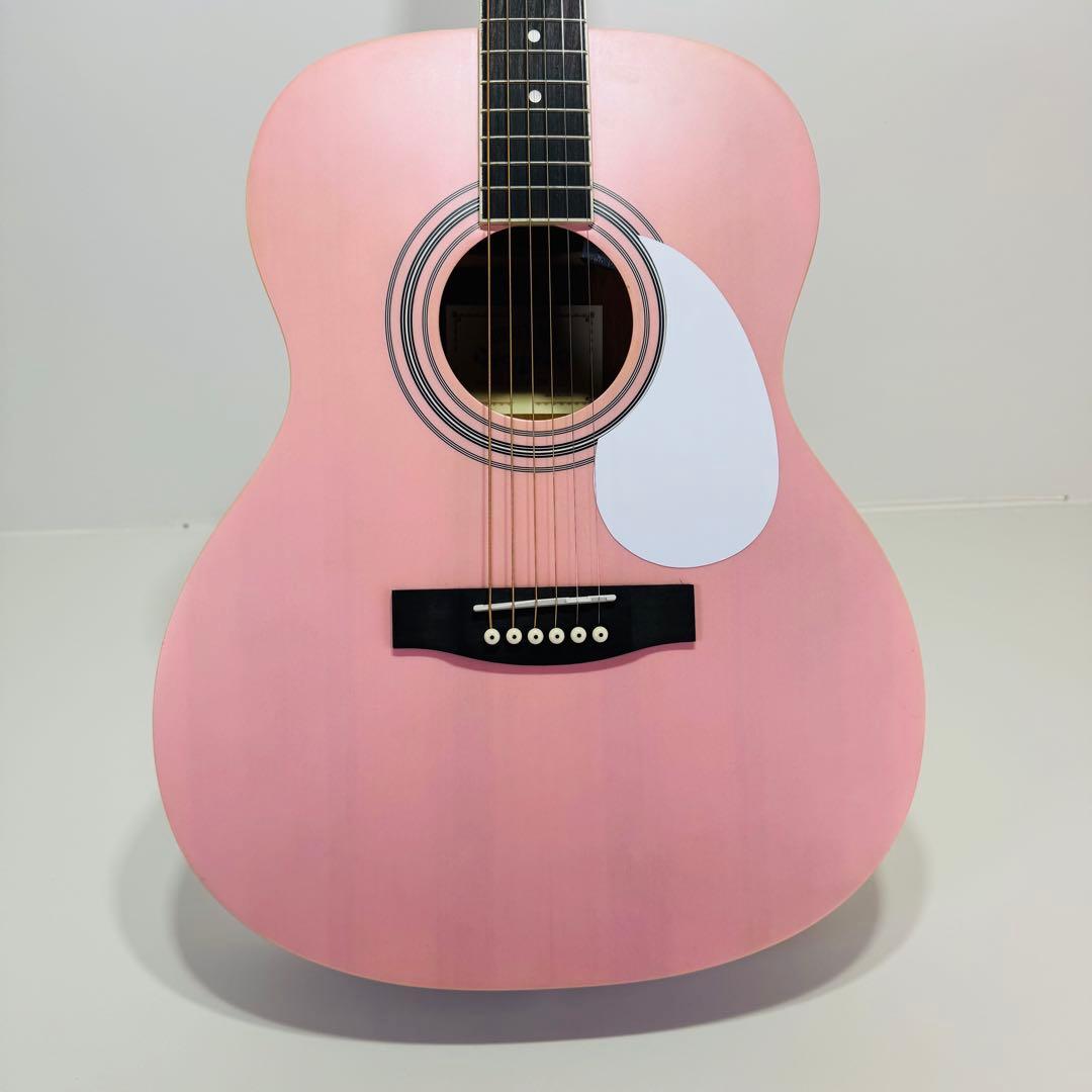 HONEY BEE アコースティックギター F-15 SKR ギター　ハニービー