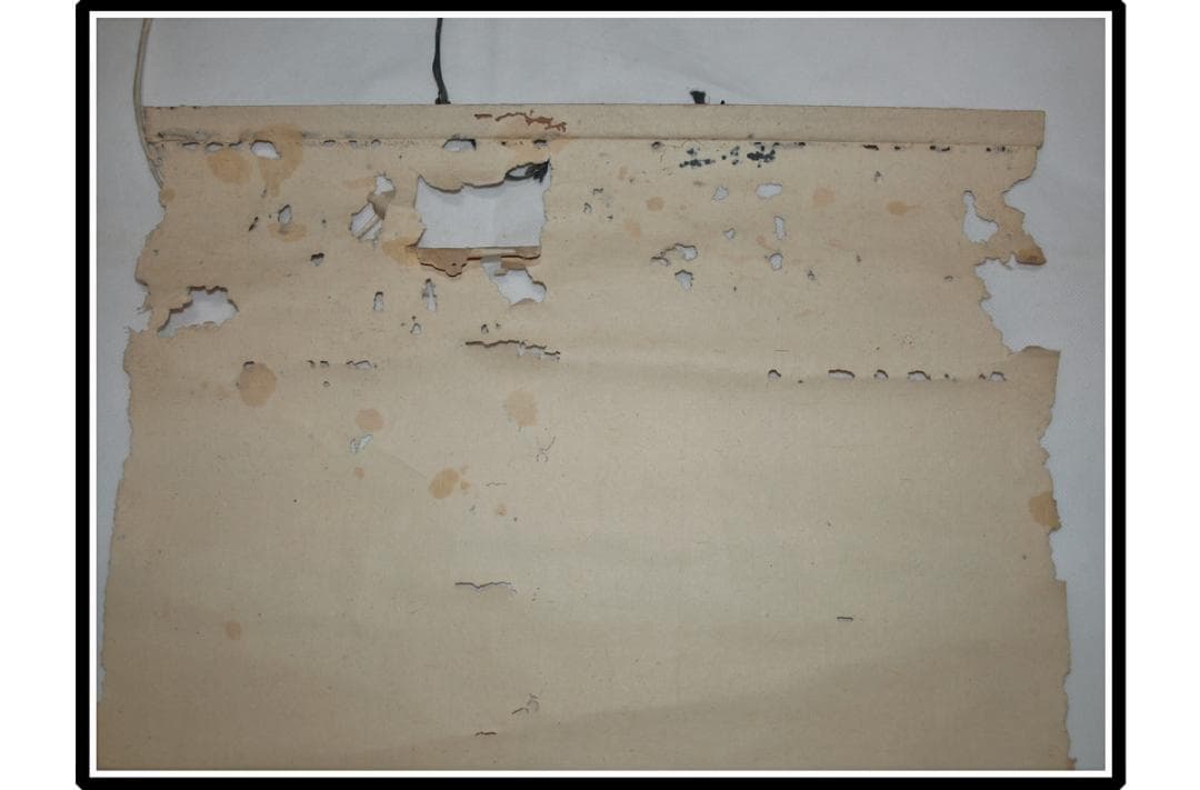 時代の掛軸　鶴　肉筆保証　蔵整理不用品処理　日本 美术品 X914C16-7