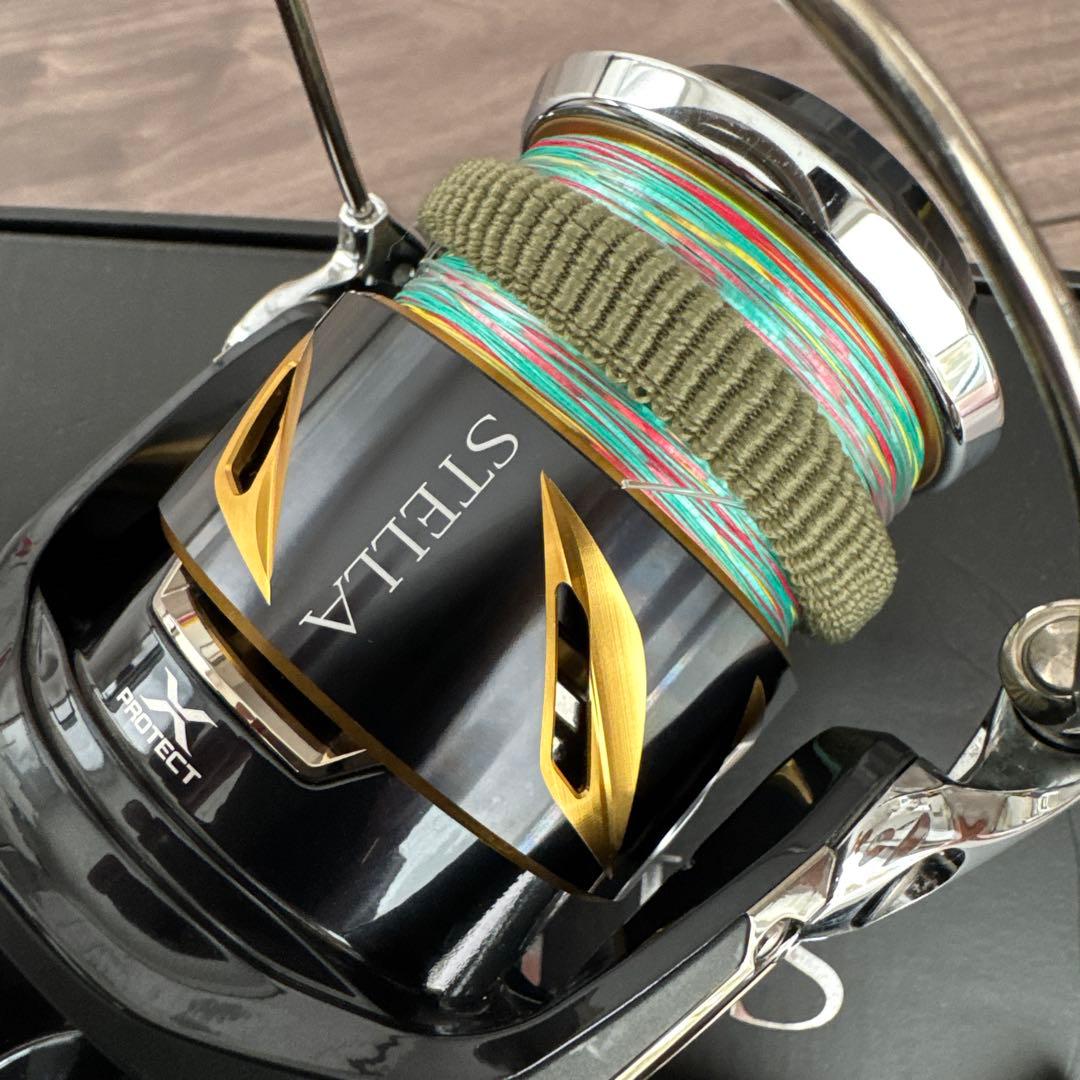 【LEE】シマノ 19ステラSW8000HG