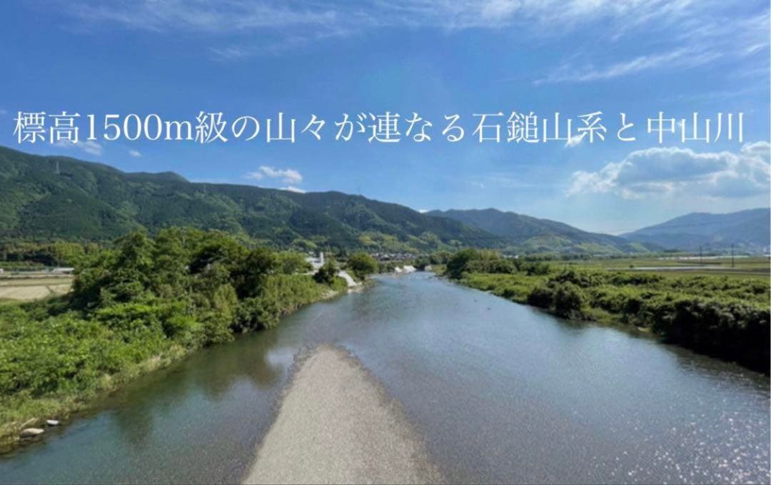♠︎リピーター様限定♠︎ 令和7年度米　愛媛県産ヒノヒカリ稲架掛け米 10kg