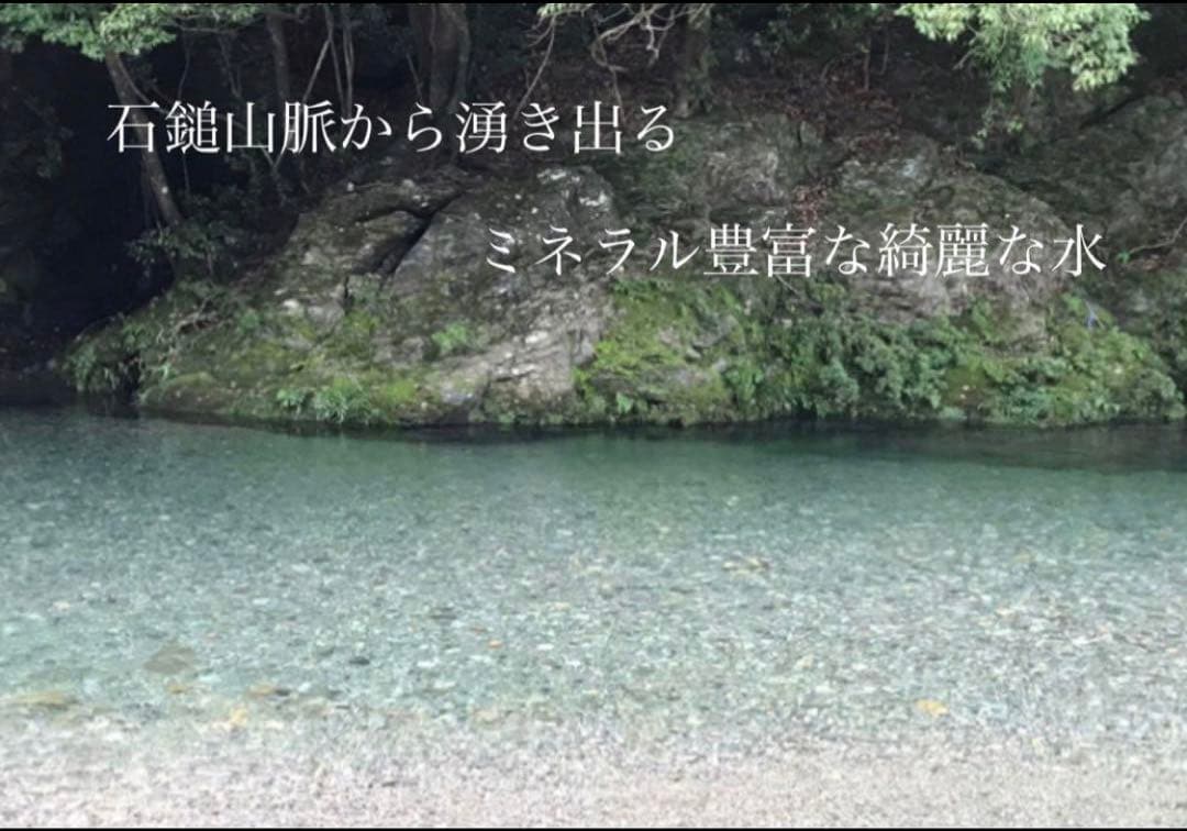 ♠︎リピーター様限定♠︎ 令和7年度米　愛媛県産ヒノヒカリ稲架掛け米 10kg