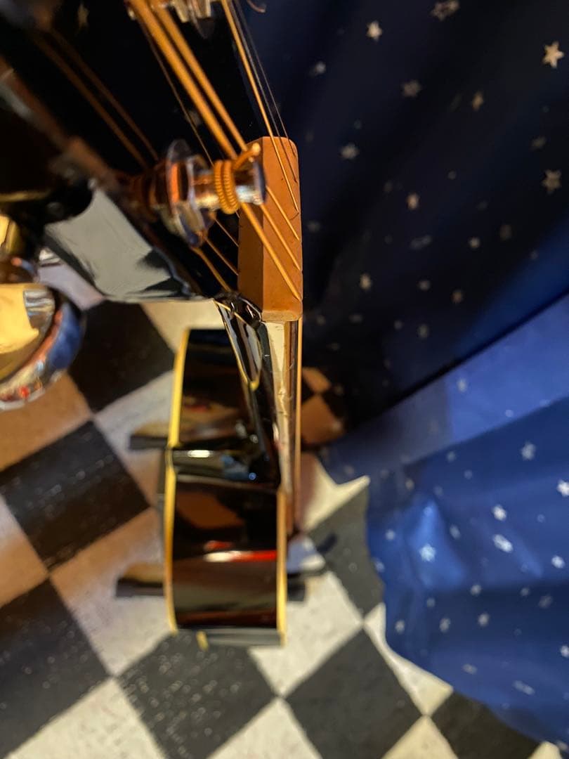 James JF350 (エレアコ仕様)