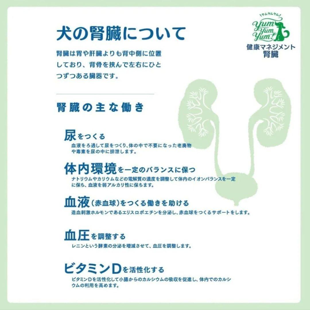 yumyumyum！ ヤムヤムヤム！ 健康マネジメント 腎臓 1.3kg ２袋