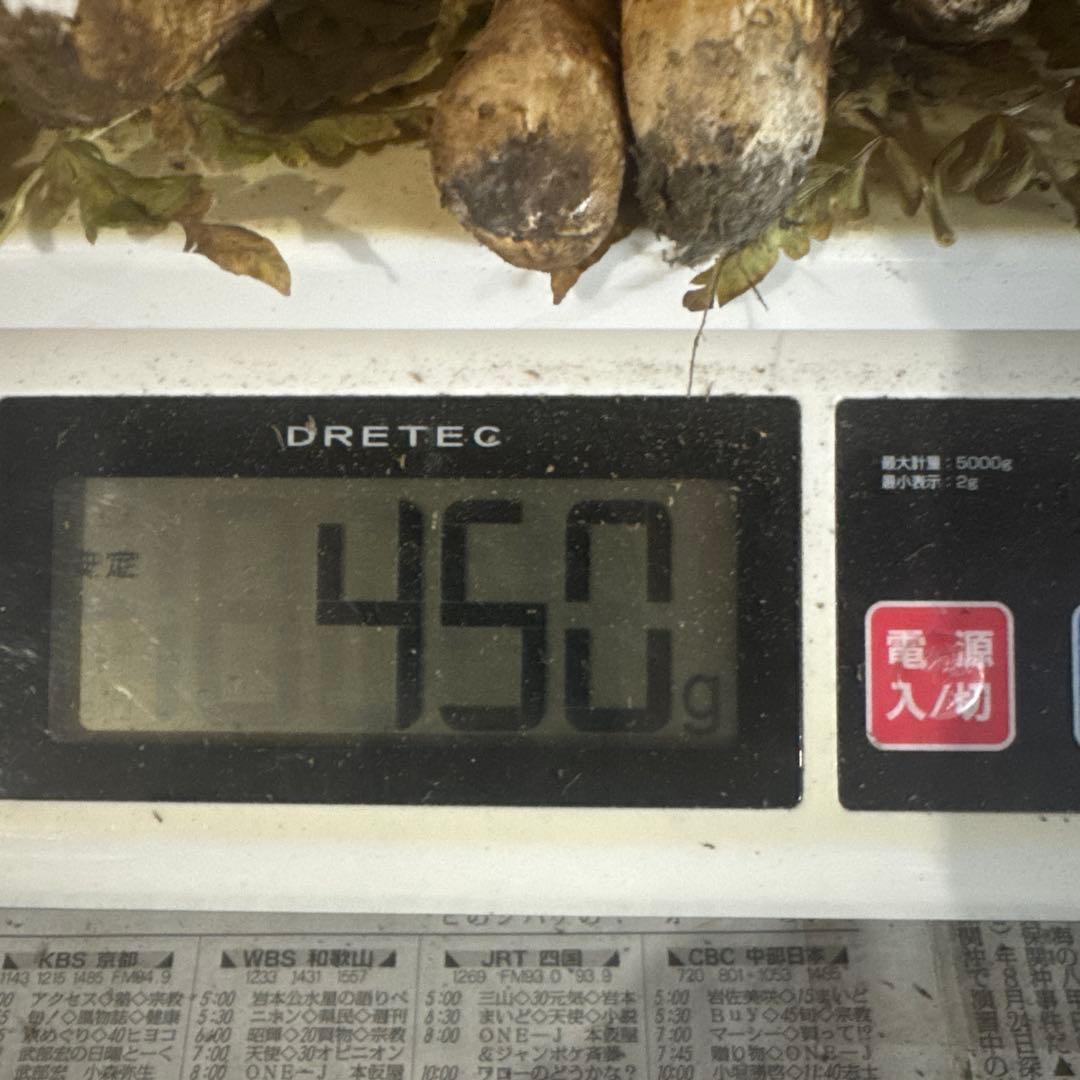 岩手県産松茸 傷訳あり 450ｇ