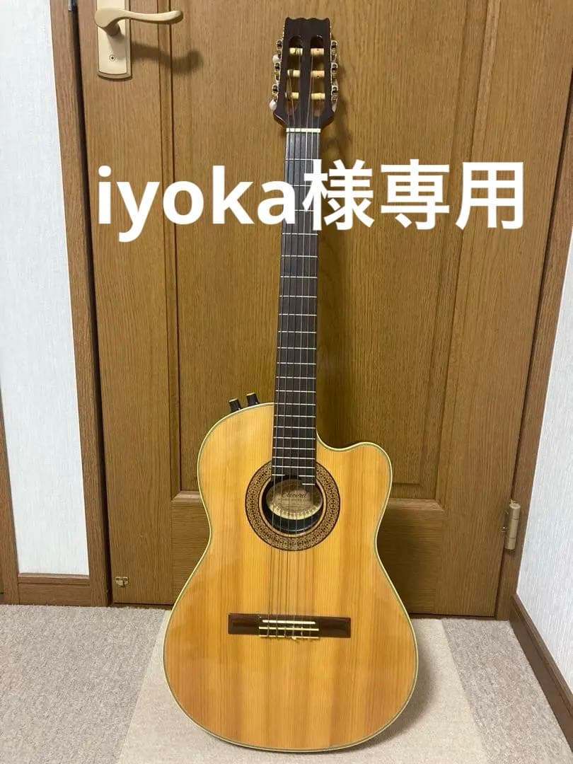 Aria アリア アコースティックエレクトリックギター