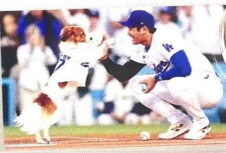 セット☆ドジャース×鬼滅の刃コラボキャップ/大谷翔平キーホルダー2個/ボールペン