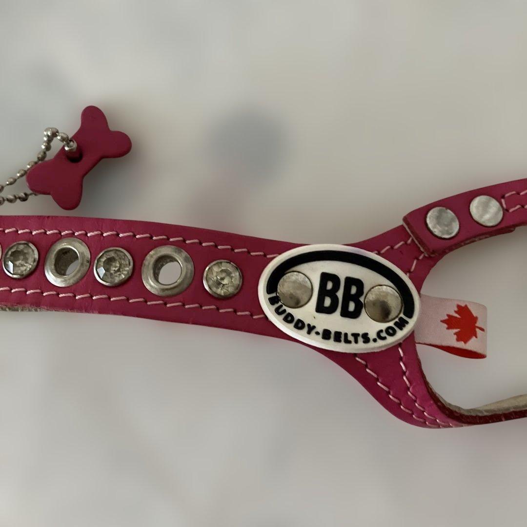 美品☆BBピンクベルト☆サイズ3 バディーベルト☆ハーネス リードセット