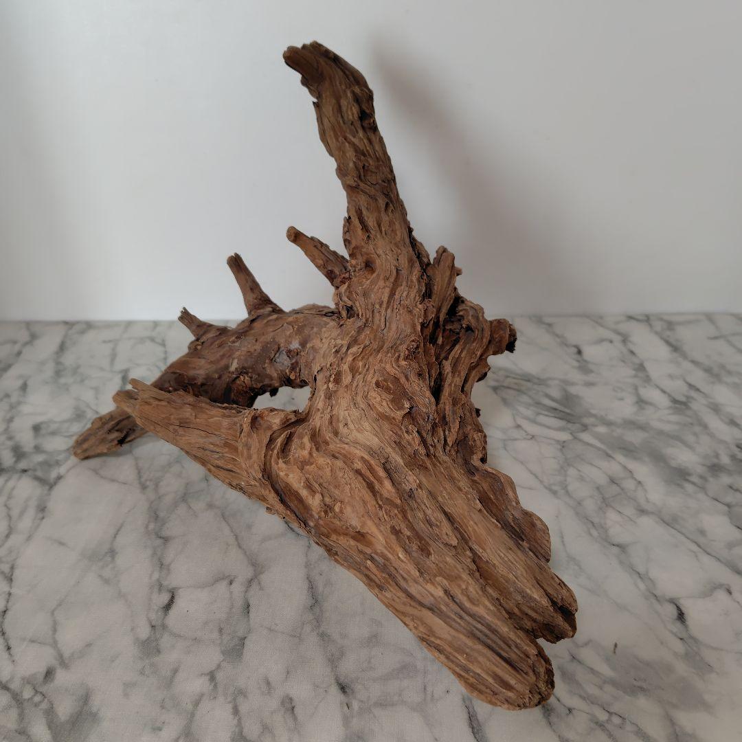 アク抜き済み流木【41】