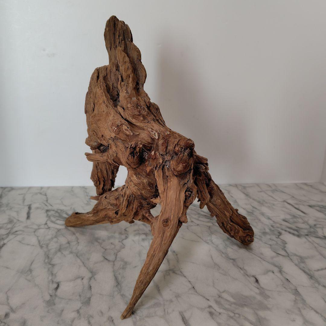 アク抜き済み流木【41】