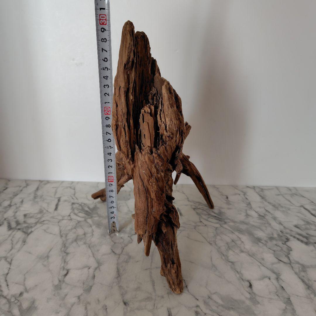 アク抜き済み流木【41】