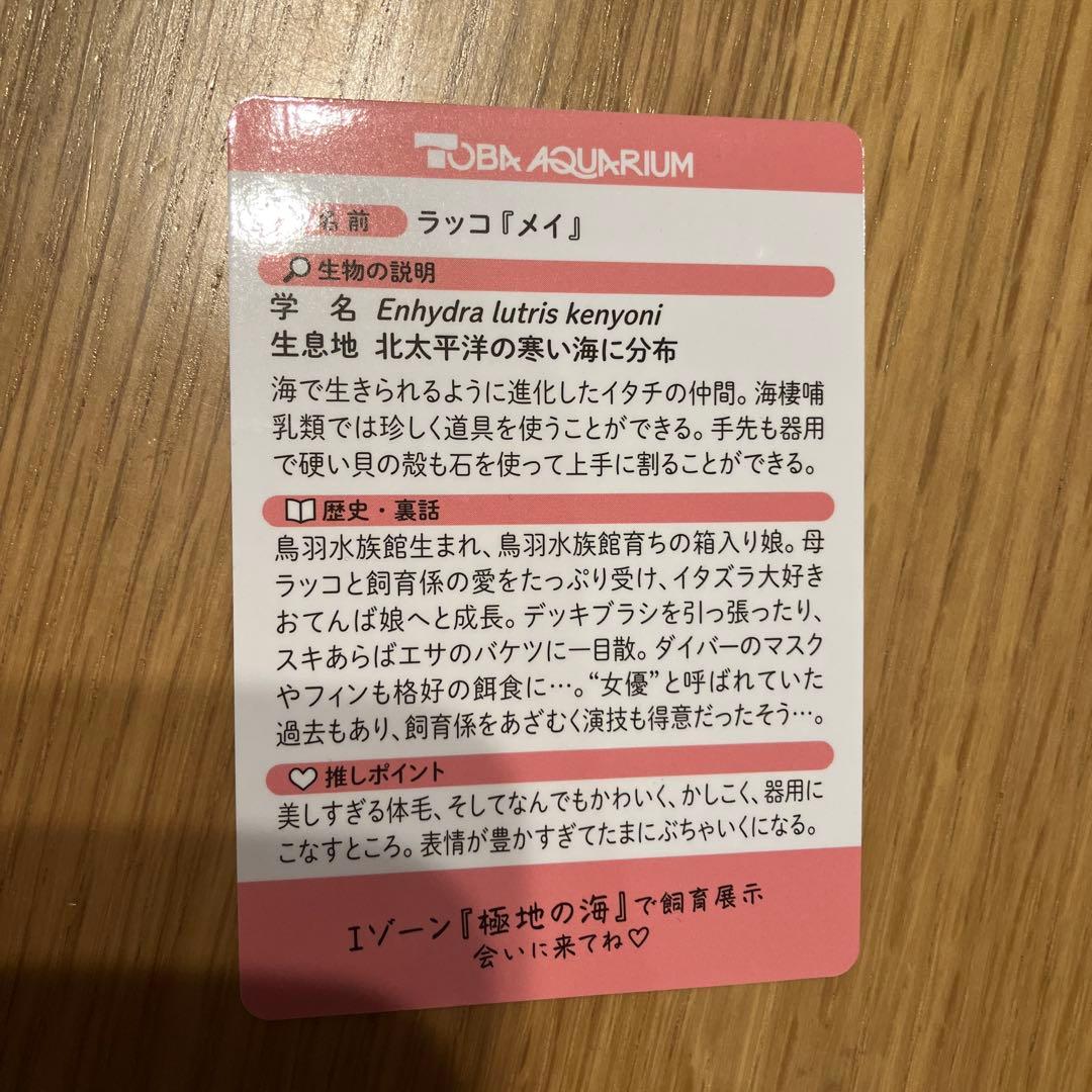 鳥羽水族館コレクションカード2枚