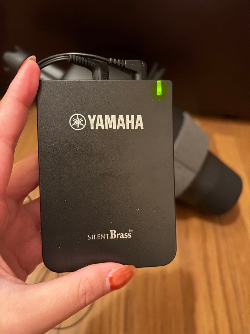 サイレントブラス ユーフォニアム Euph ミュート