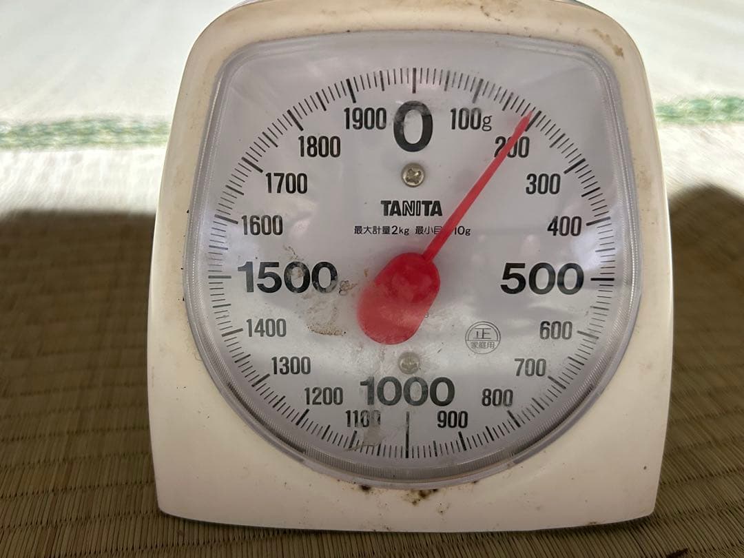 ☆信州産松茸☆今現在約190グラム☆まつたけ☆クール便送料着払い☆国産松茸☆①☆