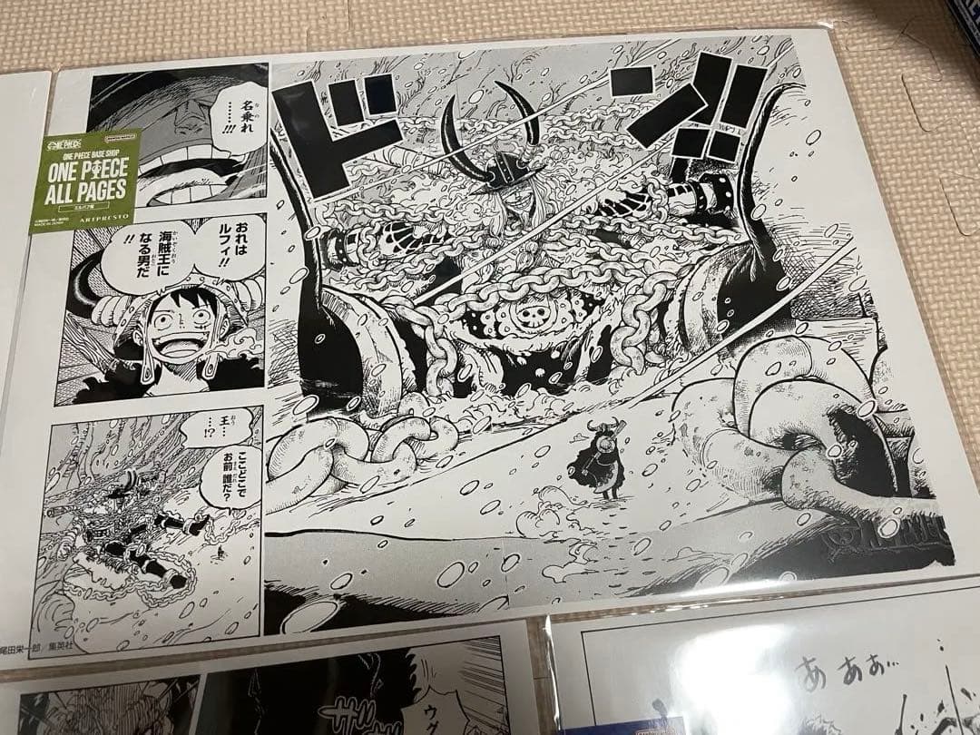 ONE PIECE BASE SHOP ALL PAGES 5枚セット