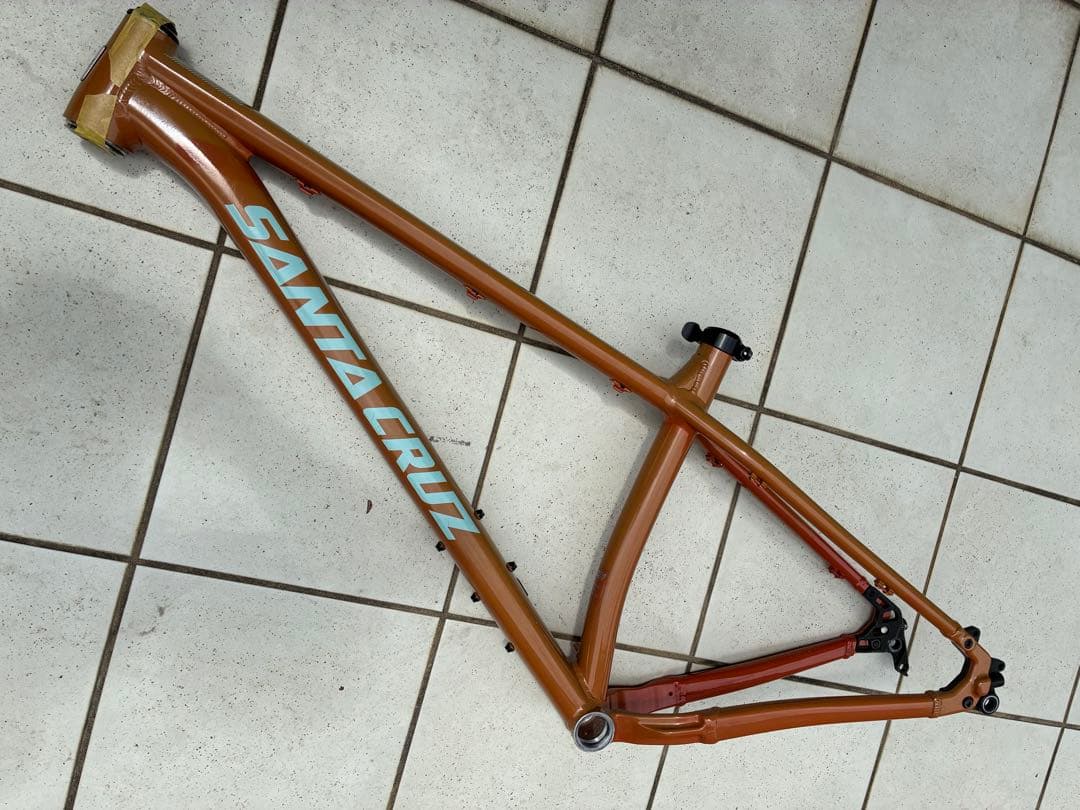 santacruz サンタクルズ chameleon カメレオン Mサイズ