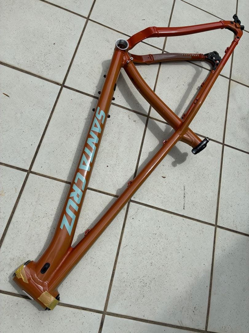 santacruz サンタクルズ chameleon カメレオン Mサイズ