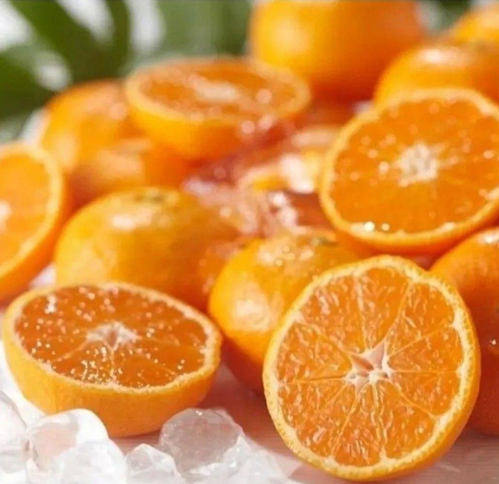 極上品質 愛媛産 味ピカ一【小太郎 越冬 みかん】30個入り 専用化粧箱