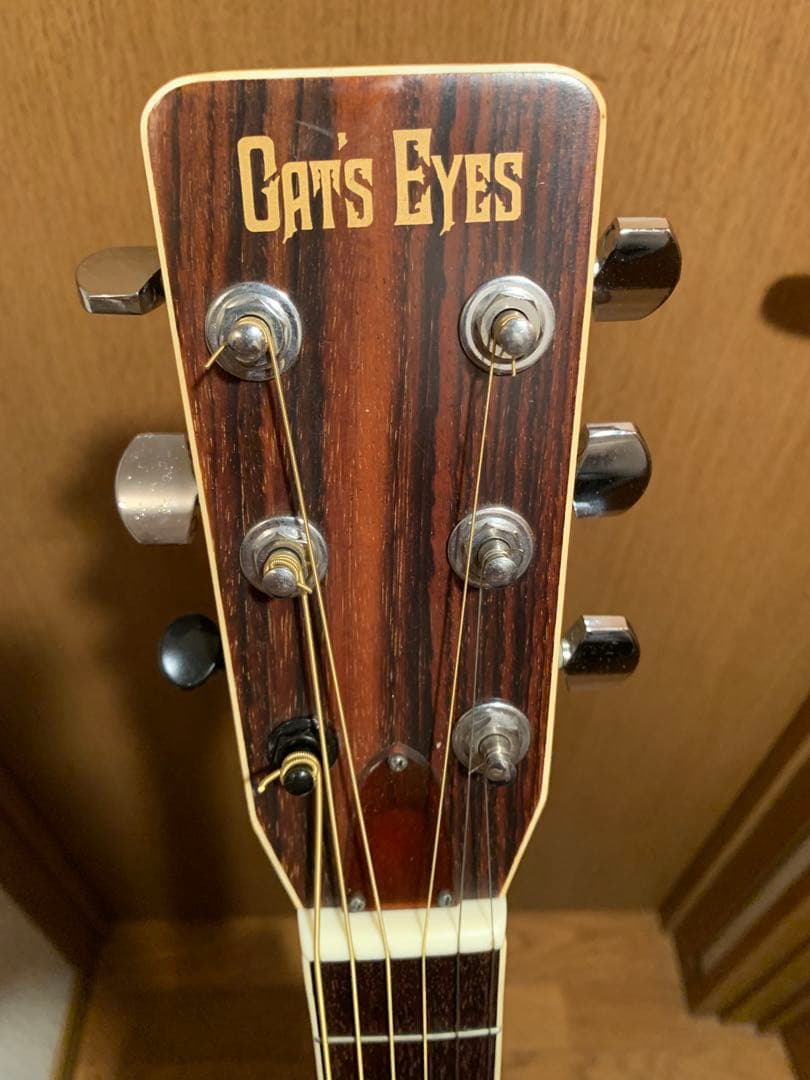 Cat's Eyes CE-250 アコースティックギター アコギ ジャンク扱い