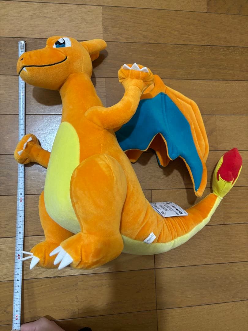 ポケモン　ぬいぐるみ　BIG リザードン　ホゲータ　イーブイ　など8個セット