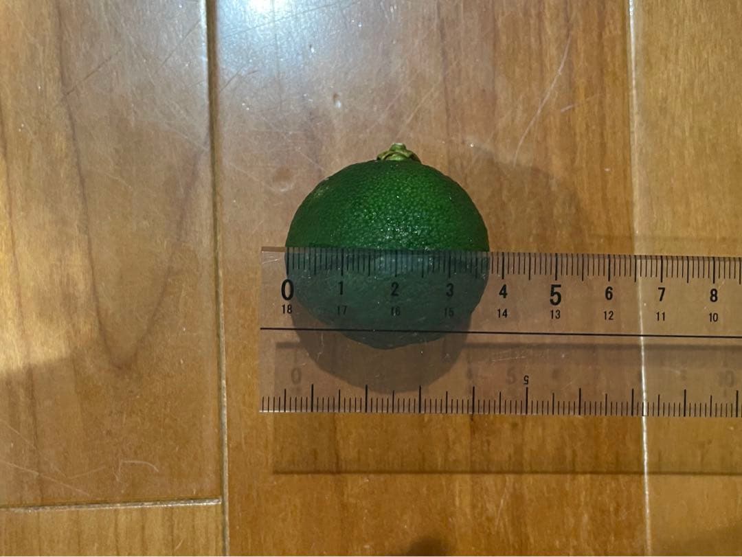 青柚子　花柚子　無農薬　10〜15キロ