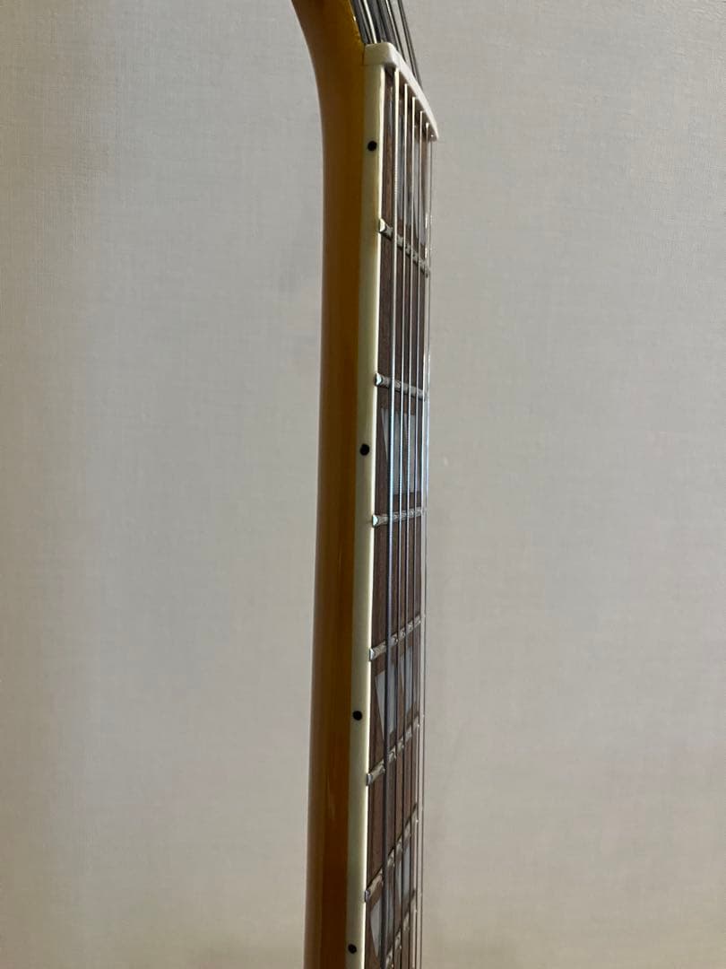 Bunny RFA-65 フルアコ