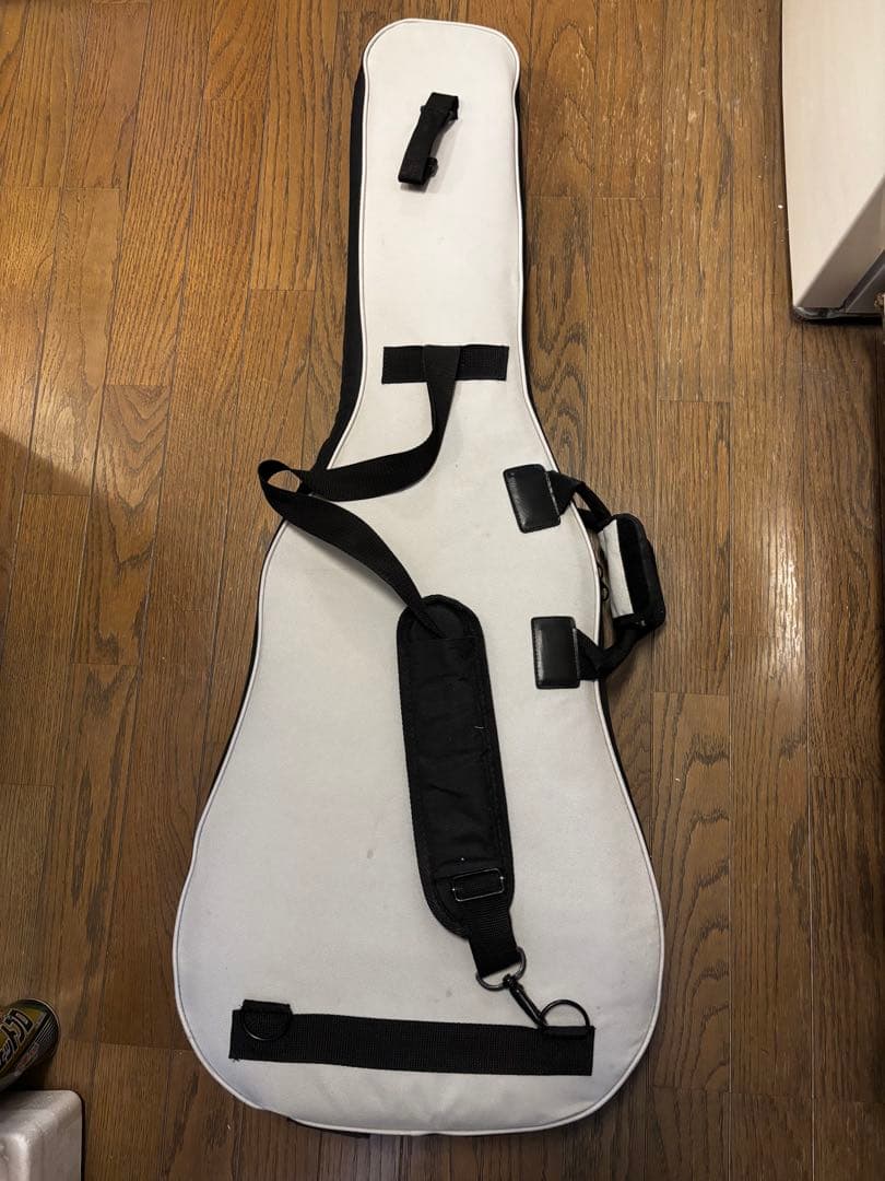 ギター LINE6 James Tyler Variax JTV-69