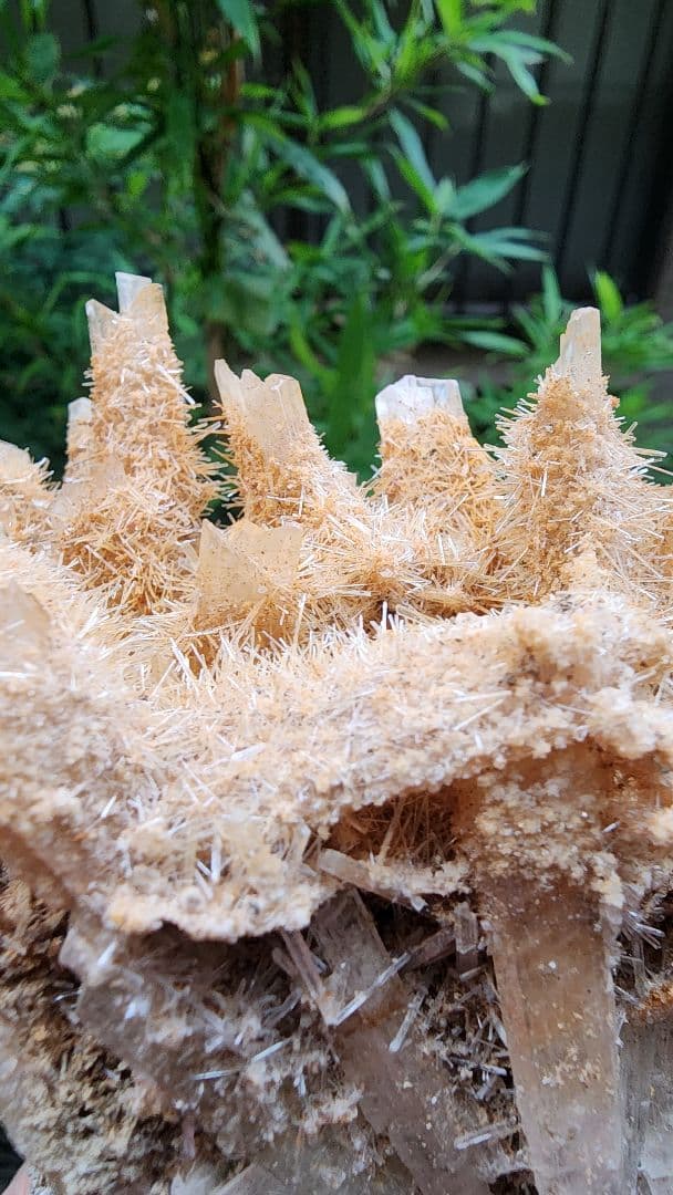 オーストラリア産の黄色いアラゴナイト