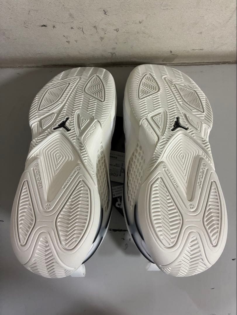 WMN JORDAN HEIR PF 110カラー 23.0㎝