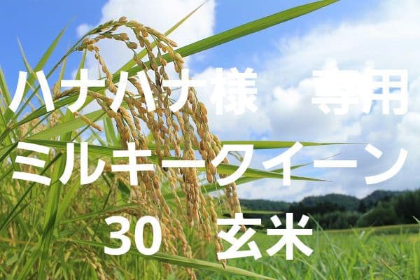 ハナハナ　ミルキークイーン　30