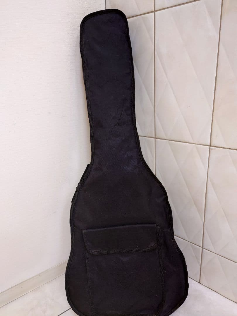 Bacchus バッカス レスポール ギター(ソフトケース付)