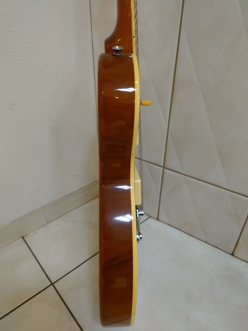 Bacchus バッカス レスポール ギター(ソフトケース付)