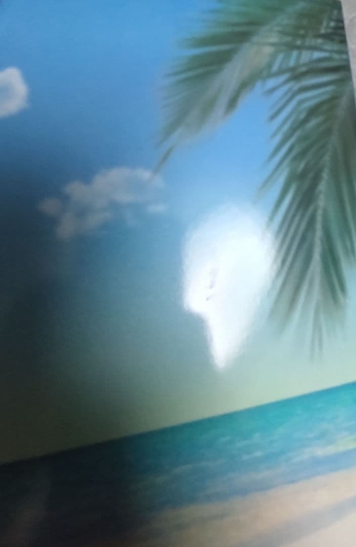 Fate一番くじC賞Grand Orderムーンキャンサー 1/7 フィギュア