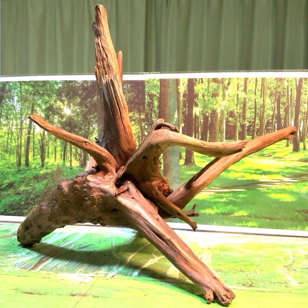 tomiy様 リクエスト 3点 まとめ商品