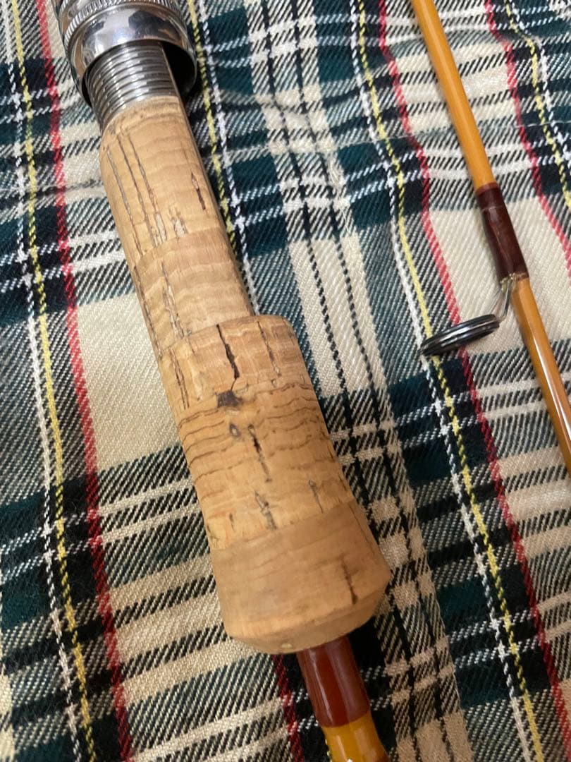 スポーツザウルス トリュートエリア パラ62