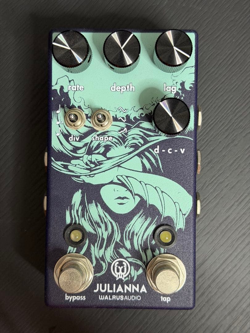 ギター Walrus Audio JULIANNA Analog Chorus