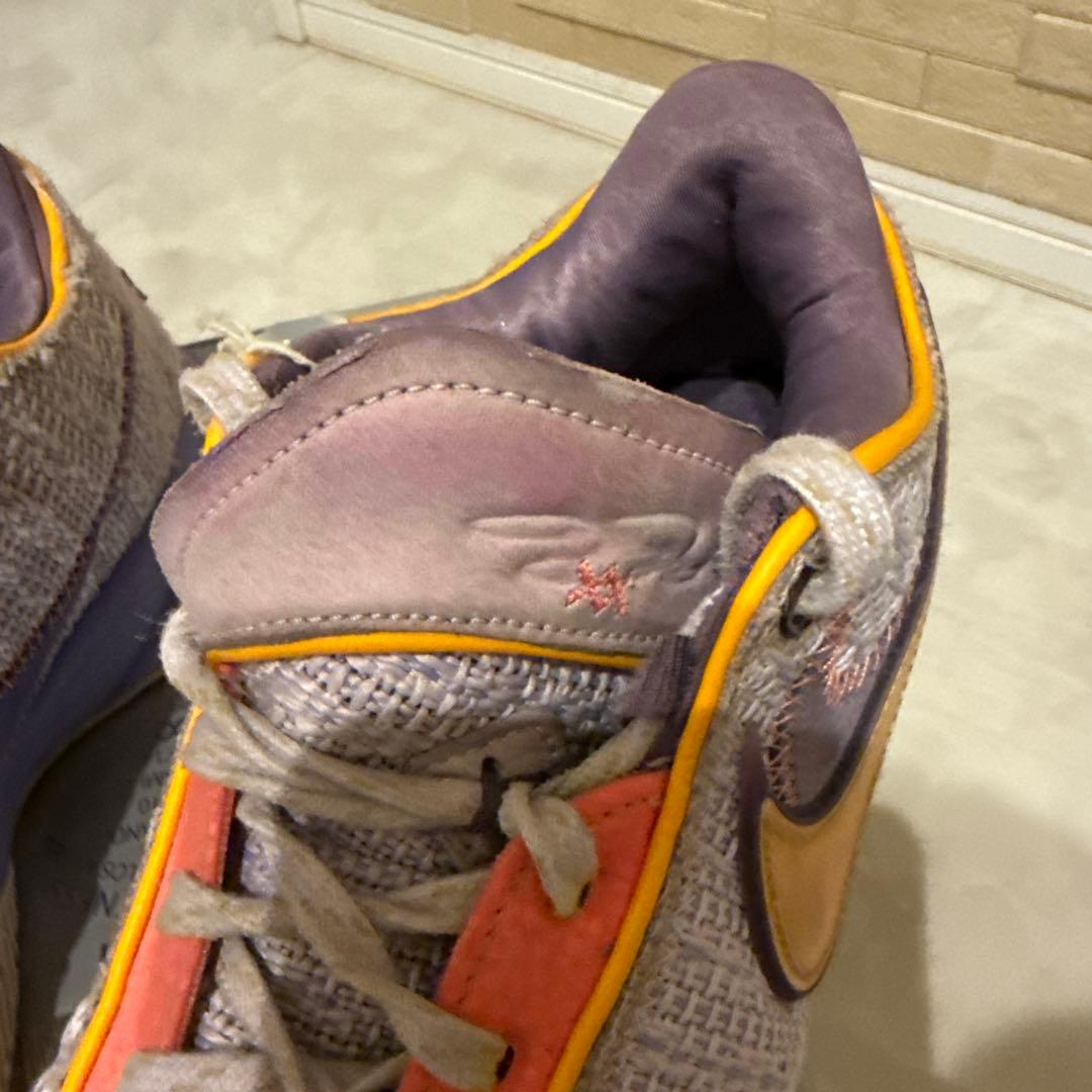 NIKE レブロン20 26.5cm