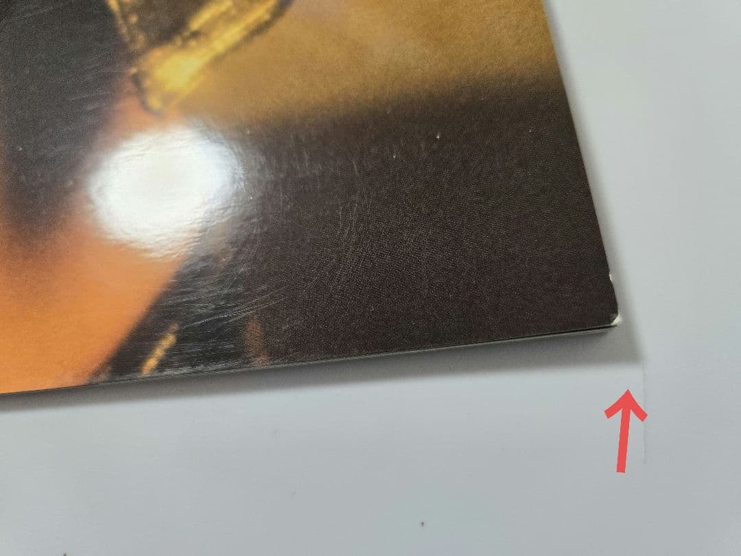 デッドオアアライブ　ツアーパンフ　DEAD OR ALIVE ピート・バーンズ