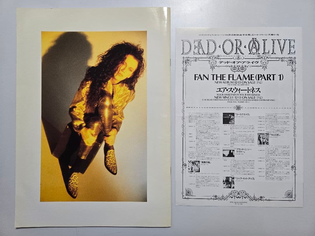デッドオアアライブ　ツアーパンフ　DEAD OR ALIVE ピート・バーンズ