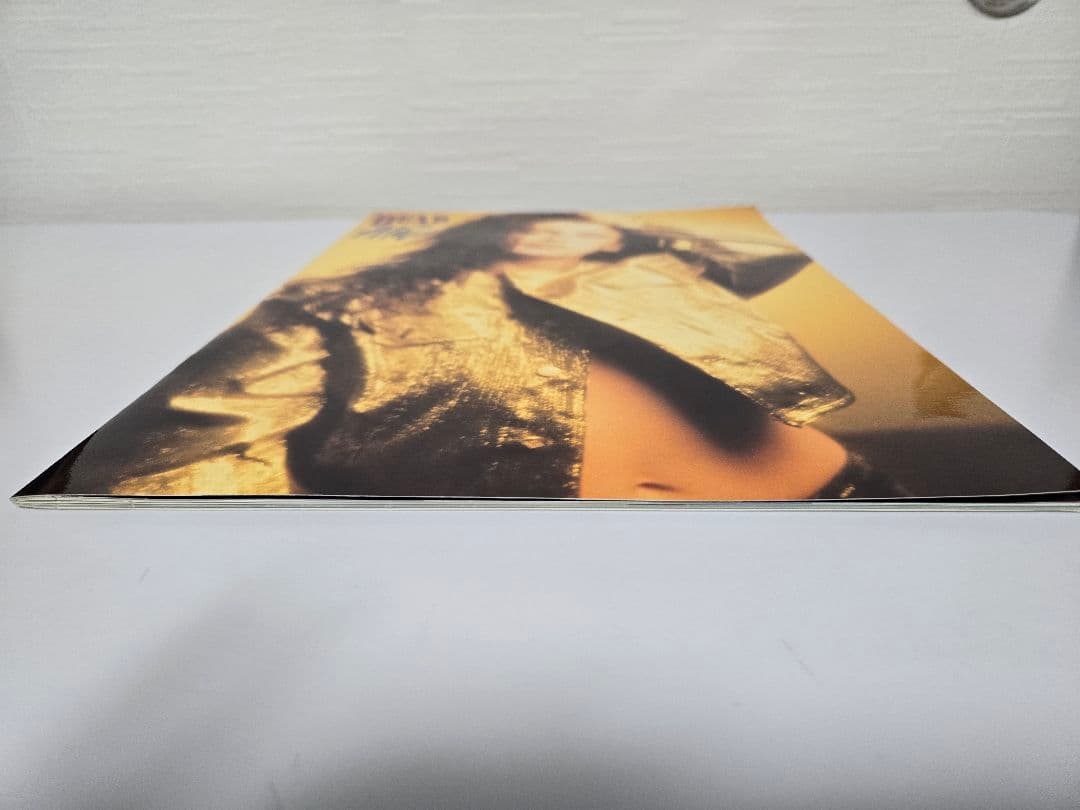 デッドオアアライブ　ツアーパンフ　DEAD OR ALIVE ピート・バーンズ