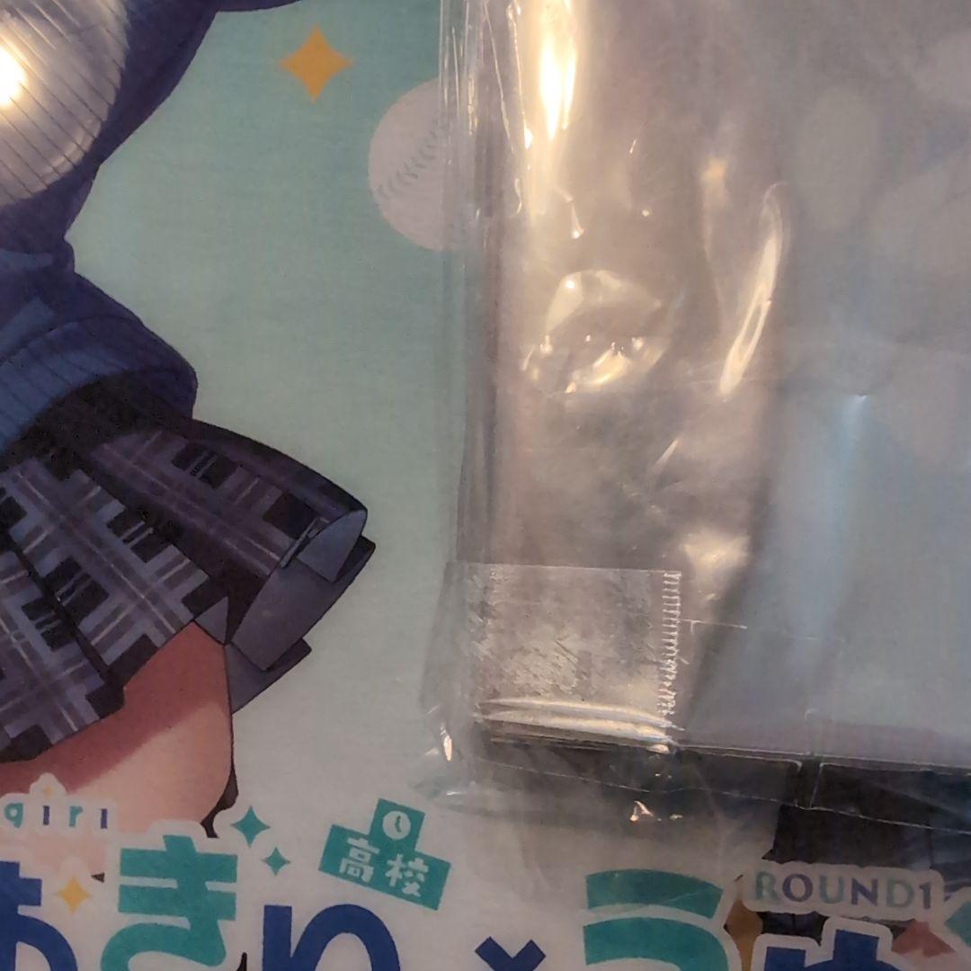 ポケットモンスター　カミツレ　スリーブ