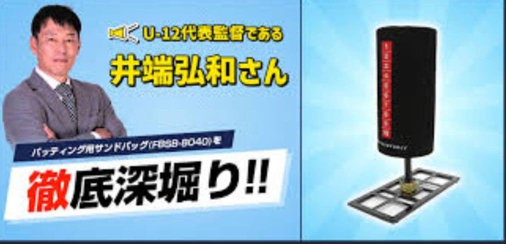 【とらとらさん専用】FIELD FORCE バッティング用　サンドバッグ