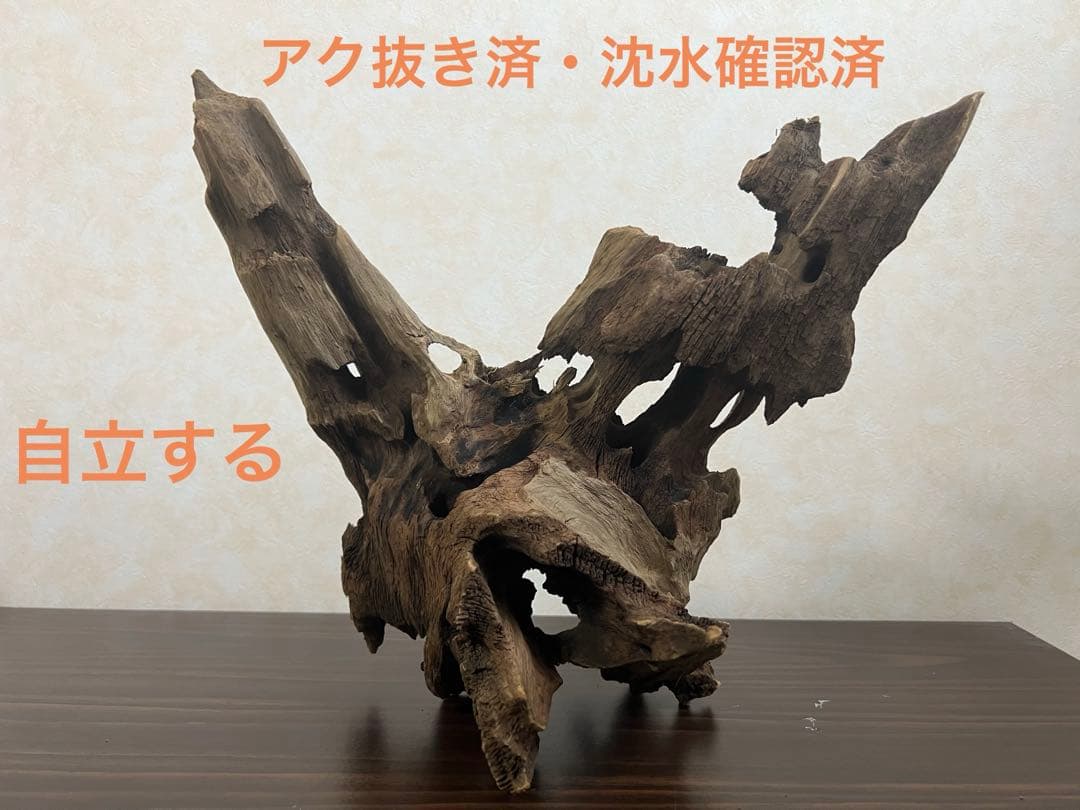 XM-378 流木　マシンガンウッド　アクアリウム　ブランチウッド
