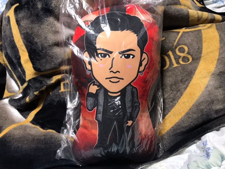 登坂広臣 クッション マルチケースセット