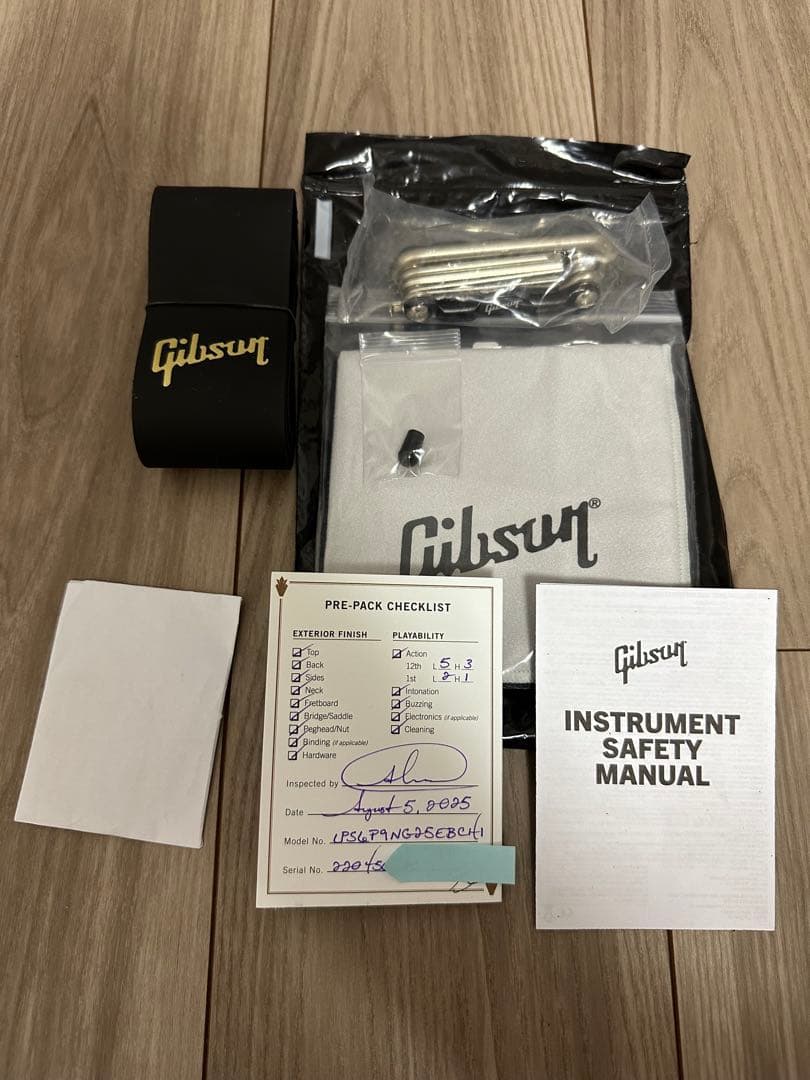 SKNノエル レスポール Noel Les Paul シグネチャー 新品
