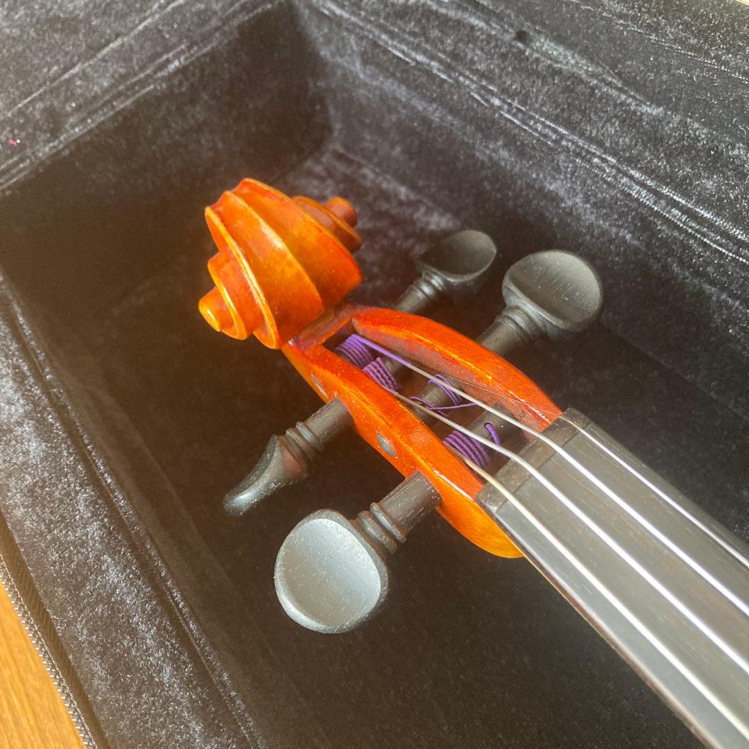 スズキバイオリン　520