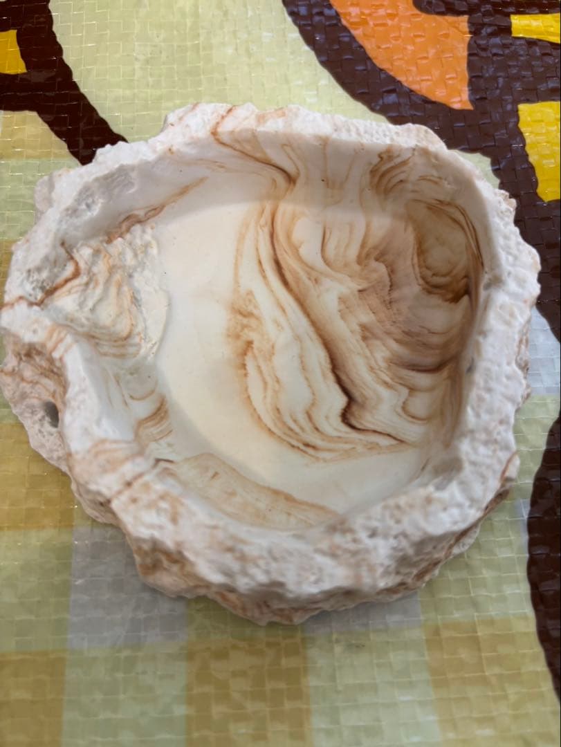 爬虫類飼育ケージセット