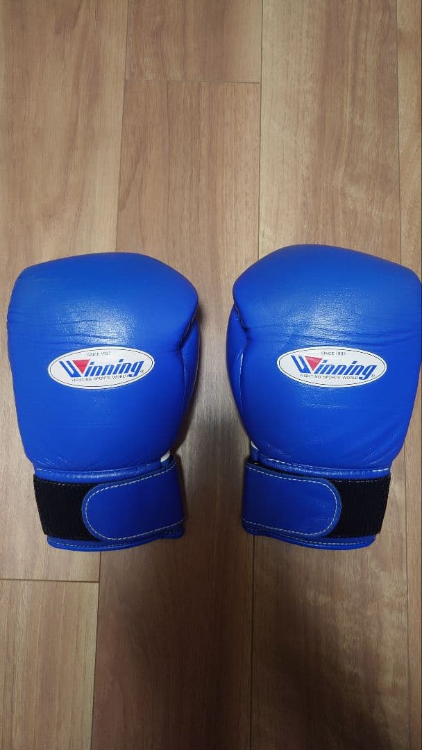 Winning ボクシンググローブ 10 oz 青